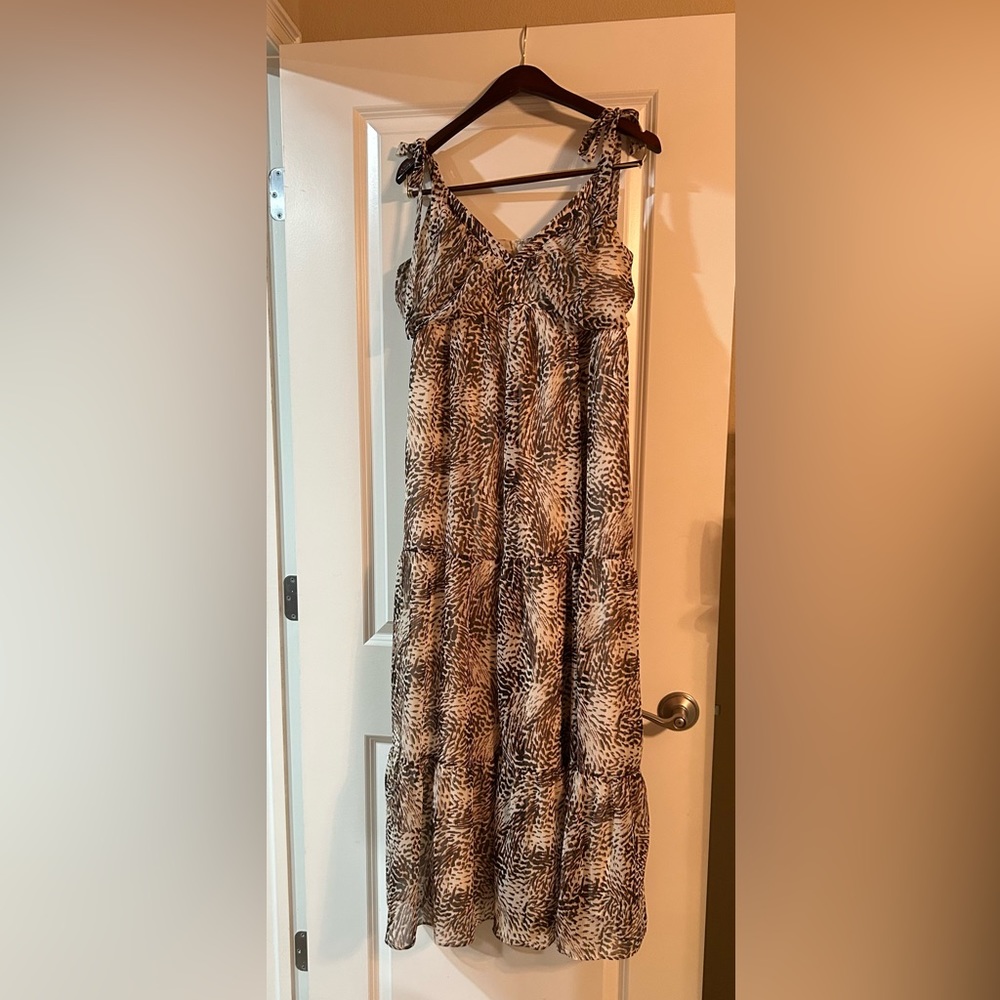 Express Dress - Picture 3 of 5